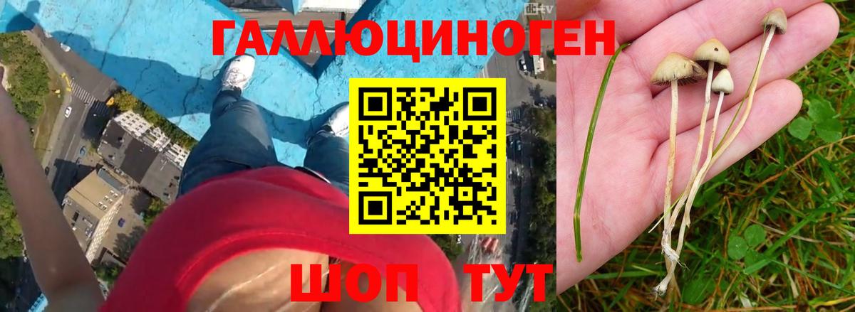 закладки  Вход с VPN  Кубинка  Галлюциногенные грибы MAGIC MUSHROOMS 